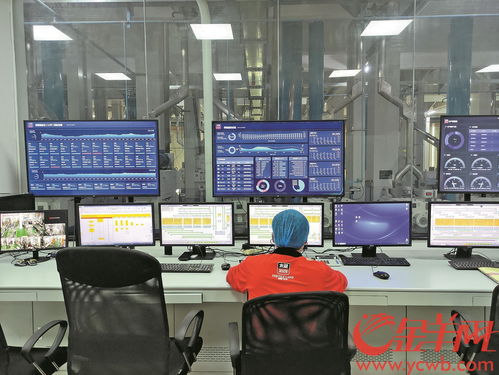 東莞數字經濟賦能傳統制造 150秒完成大米樣品快速檢測